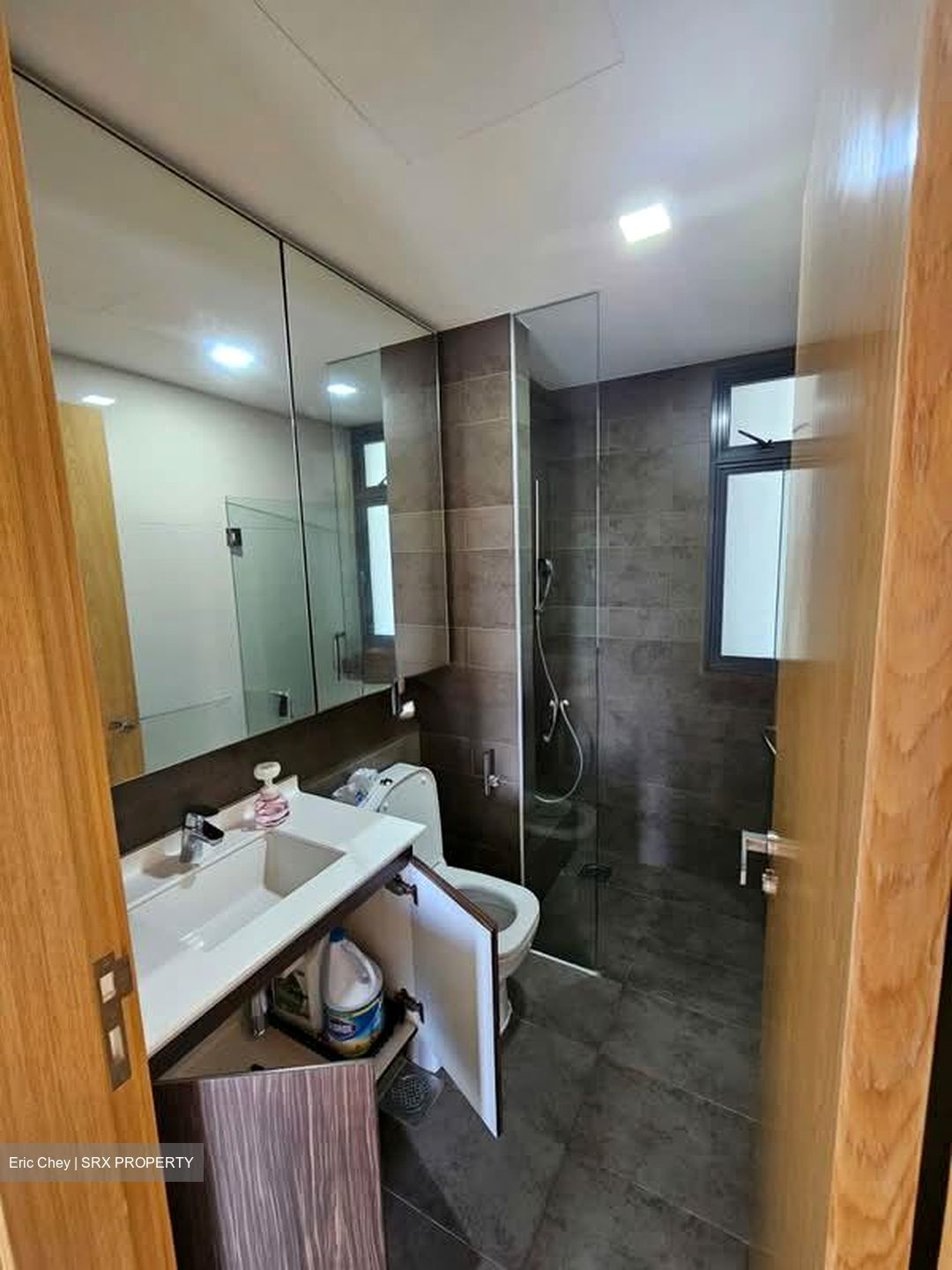 Parc Olympia (D17), Condominium #531861501